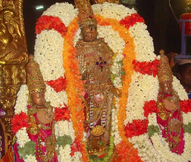 Kanchi Sri Perarulalan Sri Madhurakavai thirunakshatra Utsavam 2015 25