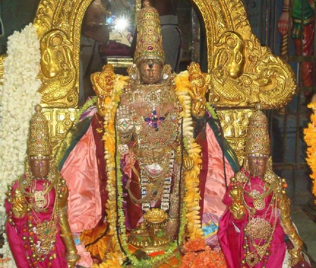 Kanchi Sri Perarulalan Sri Madhurakavai thirunakshatra Utsavam 2015 42