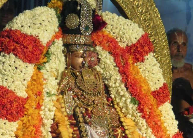 Kanchi Sri Peraundhevi Thayar  Manmadha varusha Kadai Vellikizhamai Utsavam 2015 33