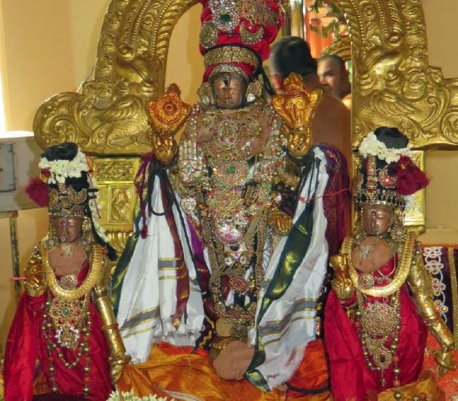 Kanchi Sri perarulalan sannadhi Manmadha varusha Thiru Avathara Utsavam 2015 02