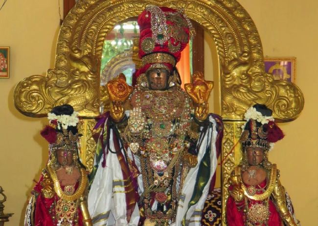 Kanchi Sri perarulalan sannadhi Manmadha varusha Thiru Avathara Utsavam 2015 05