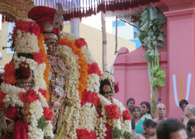 Kanchi Sri perarulalan sannadhi Manmadha varusha Thiru Avathara Utsavam 2015 12