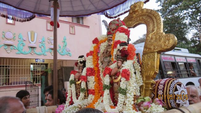 Kanchi Sri perarulalan sannadhi Manmadha varusha Thiru Avathara Utsavam 2015 17
