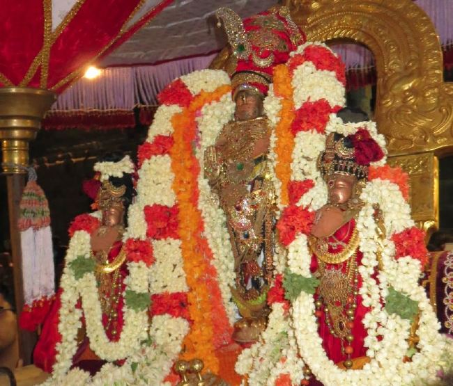 Kanchi Sri perarulalan sannadhi Manmadha varusha Thiru Avathara Utsavam 2015 29
