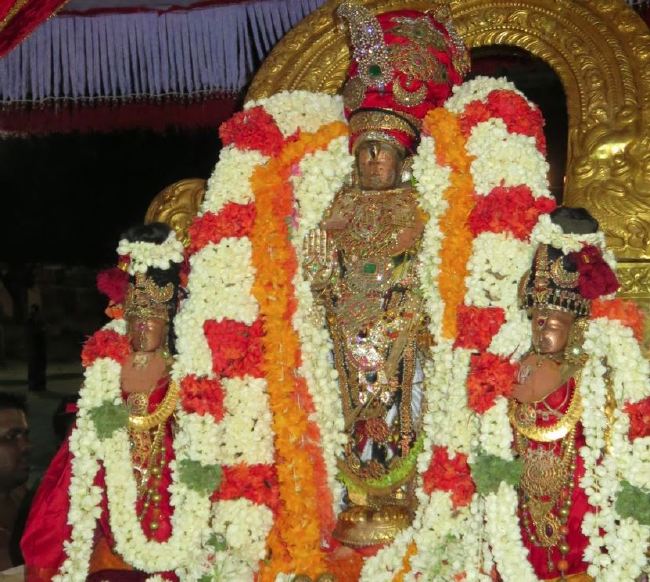 Kanchi Sri perarulalan sannadhi Manmadha varusha Thiru Avathara Utsavam 2015 36