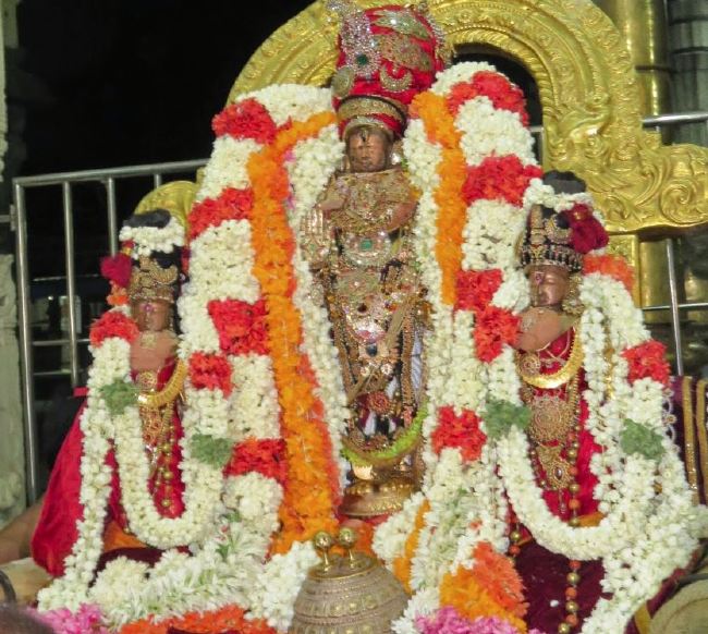 Kanchi Sri perarulalan sannadhi Manmadha varusha Thiru Avathara Utsavam 2015 37