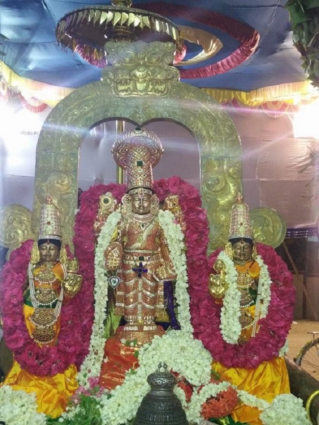 Keelkattalai Sri Srinivasa Perumal Temple Varshika Mahotsavam Commences14