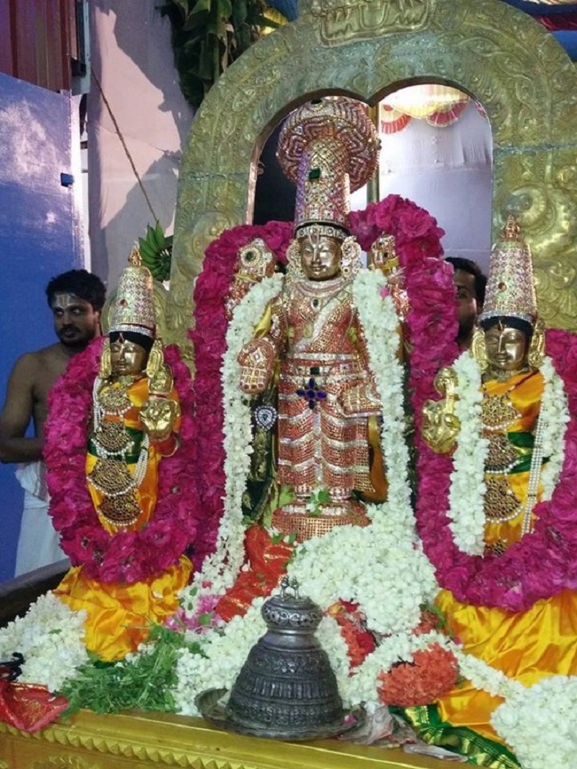 Keelkattalai Sri Srinivasa Perumal Temple Varshika Mahotsavam Commences19