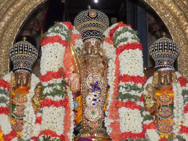 Keelkattalai Sri Srinivasa Perumal Temple Varshika Mahotsavam Concludes12