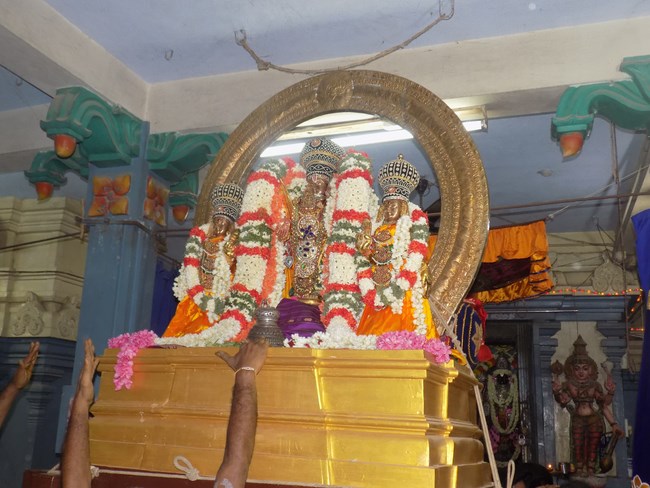 Keelkattalai Sri Srinivasa Perumal Temple Varshika Mahotsavam Concludes8