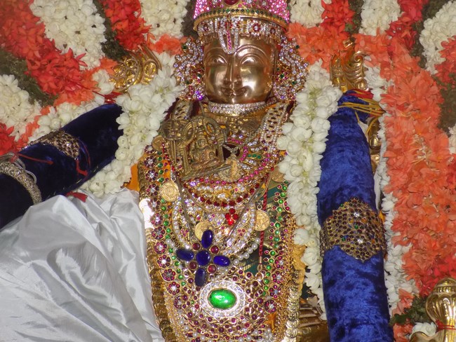 Keelkattalai Sri Srinivasa Perumal Temple Varshika Mahotsavam15