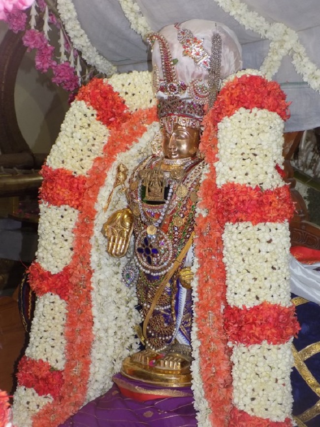Keelkattalai Sri Srinivasa Perumal Temple Varshika Mahotsavam17