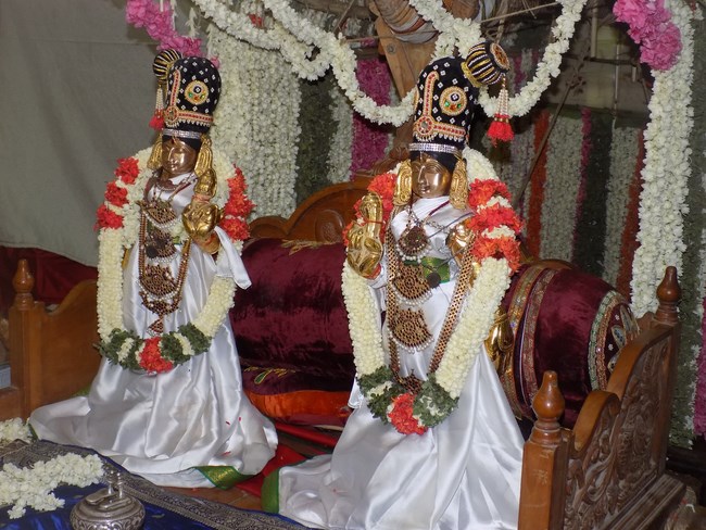 Keelkattalai Sri Srinivasa Perumal Temple Varshika Mahotsavam5