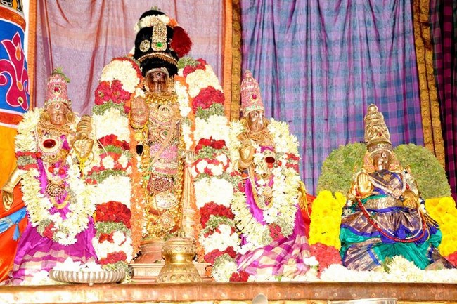 Lower Ahobilam Sri Lakshmi Narasimha Swami Temple Narasimhar Jayanthi Utsavam12