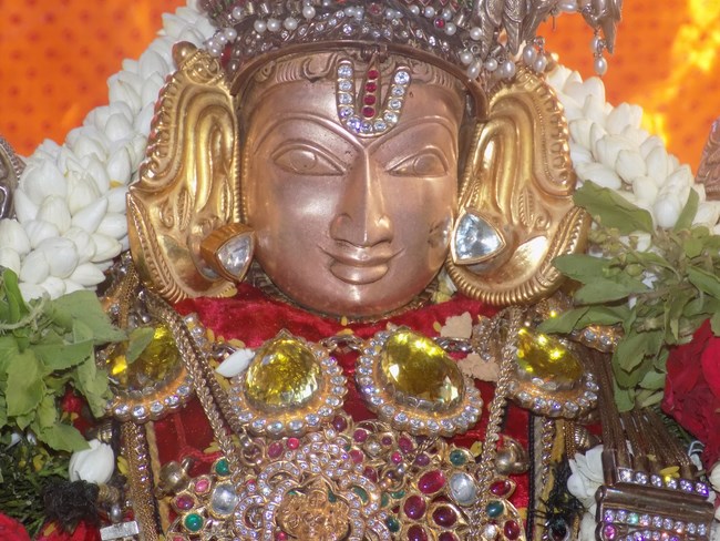 Madipakkam Sri Oppilliappan Pattabhisheka Ramar Temple Vasanthotsavam13