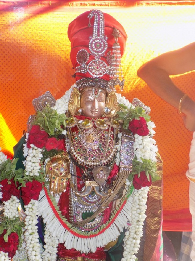 Madipakkam Sri Oppilliappan Pattabhisheka Ramar Temple Vasanthotsavam6