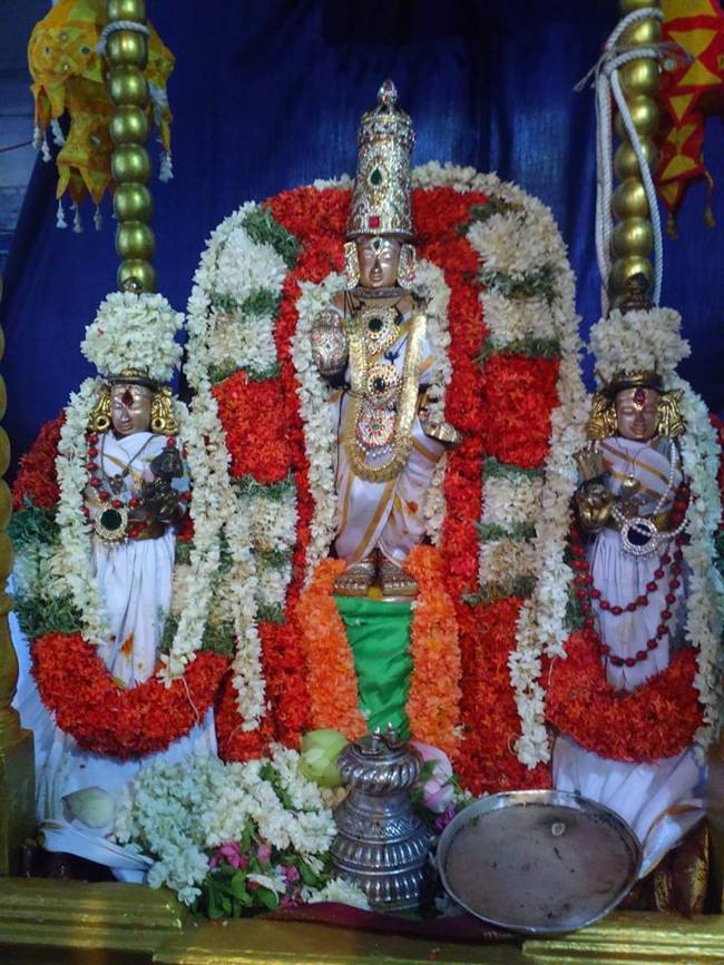 Mamallapuram Sri Sthalasayana perumal Chitirai brahmotsavam  (1)