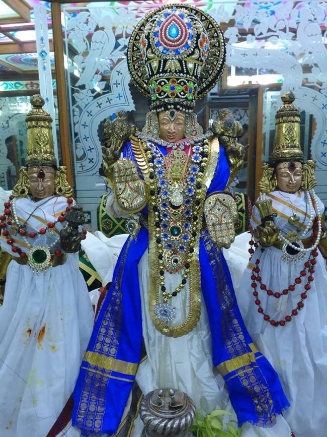 Mamallapuram Sri Sthalasayana perumal Chitirai brahmotsavam  (4)