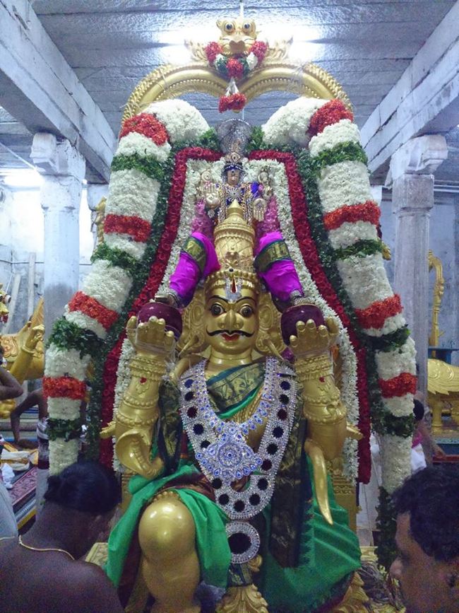 Mamallapuram Sri Sthalasayana perumal Chitirai brahmotsavam Garuda Vahanam  (3)