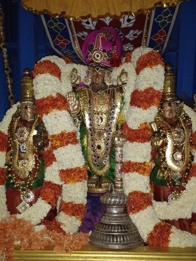 Mamallapuram Sri Sthalasayana perumal Chitirai brahmotsavam Thiruther (2)