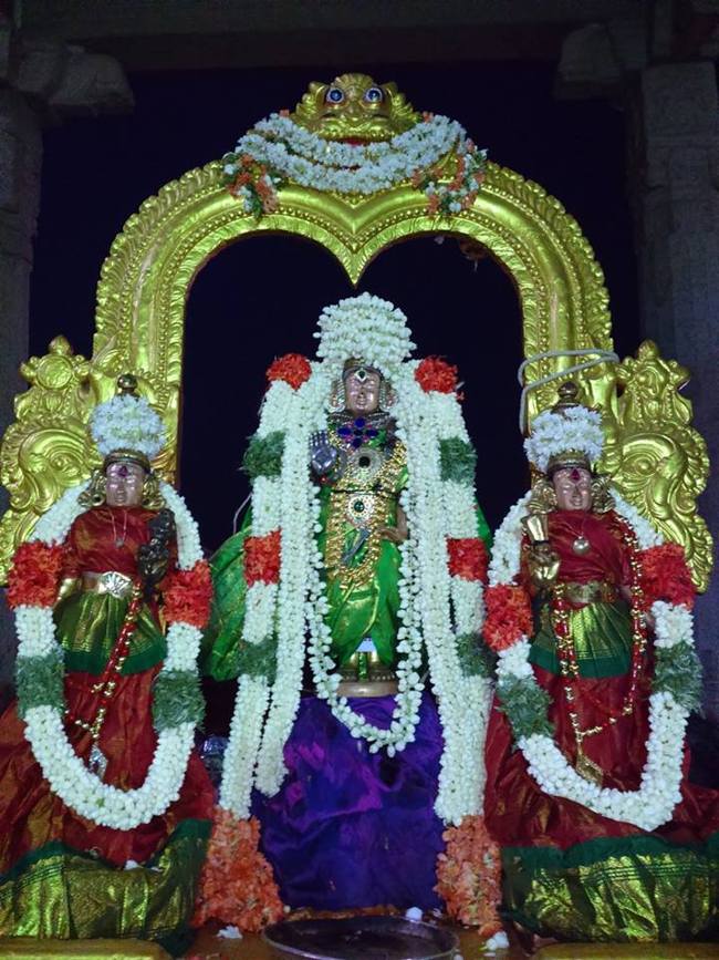 Mamallapuram Sri Sthalasayana perumal Chitirai brahmotsavam Thiruther (3)