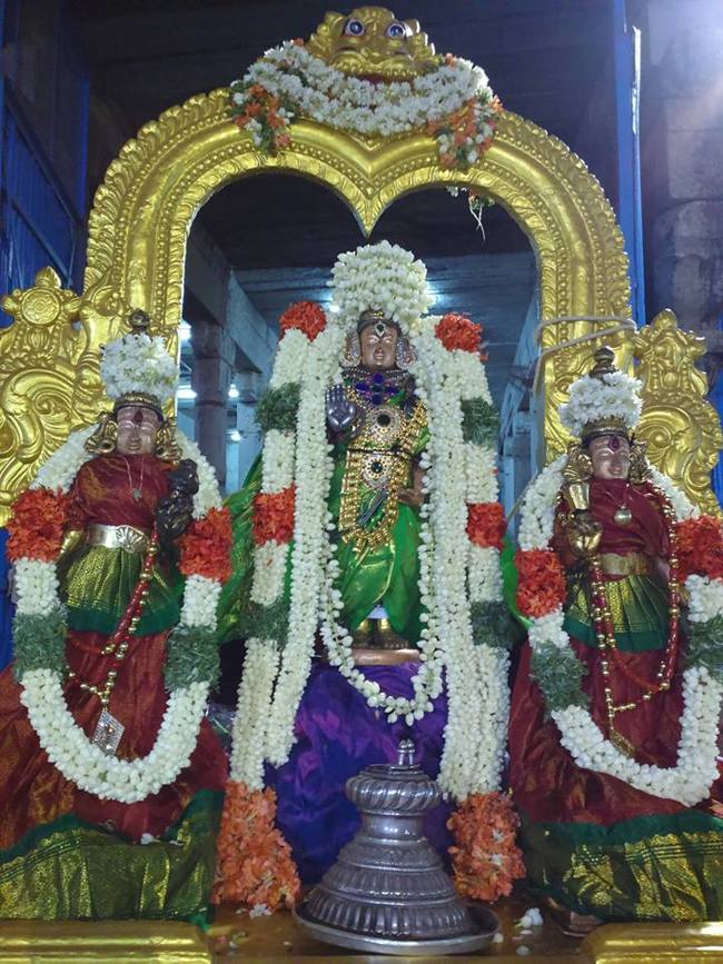 Mamallapuram Sri Sthalasayana perumal Chitirai brahmotsavam Thiruther (4)