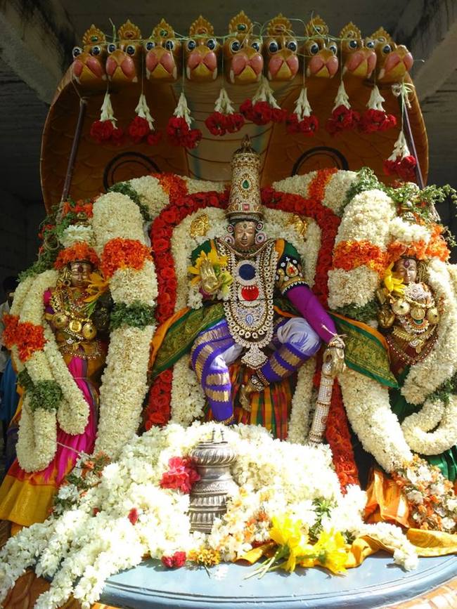 Mamallapuram Sri Sthalasayana perumal Chitirai brahmotsavam simha Vahanam (1)