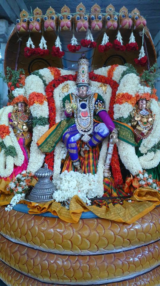 Mamallapuram Sri Sthalasayana perumal Chitirai brahmotsavam simha Vahanam (2)
