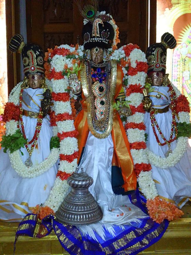 Mamallapuram Sri Sthalasayana perumal brahmotsavam (4)