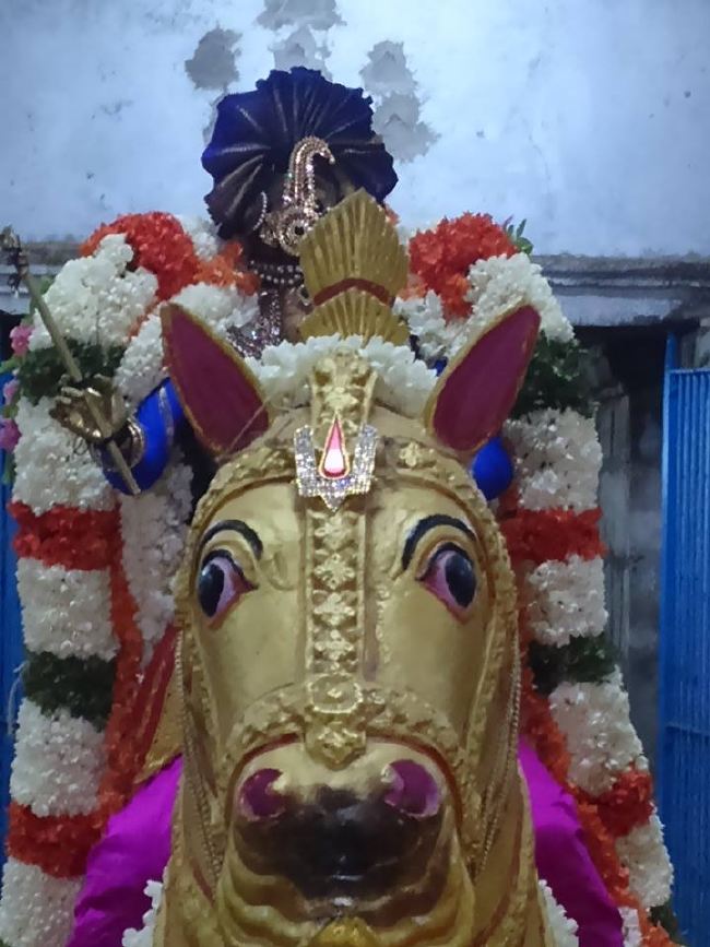 Mammalapuram Sthalasayana Perumal Temple Chithirai Brahmotsavam day 8  2015 03