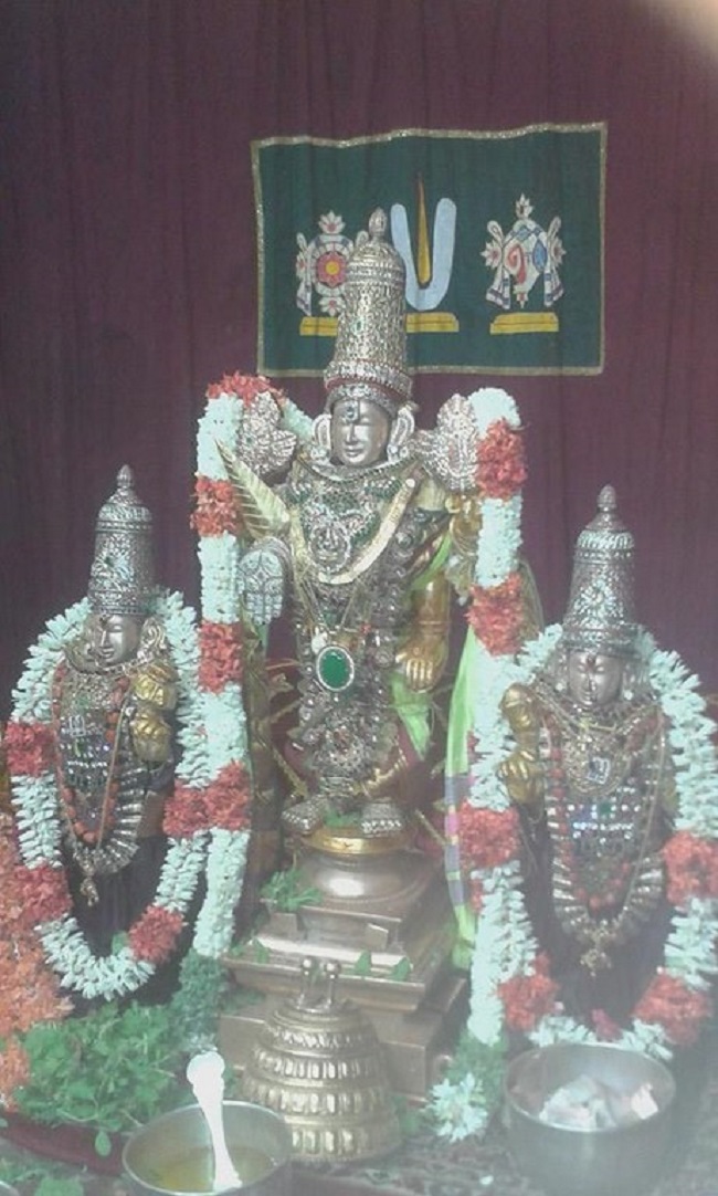 Mylapore SVDD Srinivasa Perumal Temple  Chithirai Hastham Avathara Utsavam5