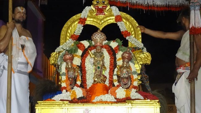 Mylapore SVDD Srinivasa Perumal Temple  Chithirai Hastham Avathara Utsavam9