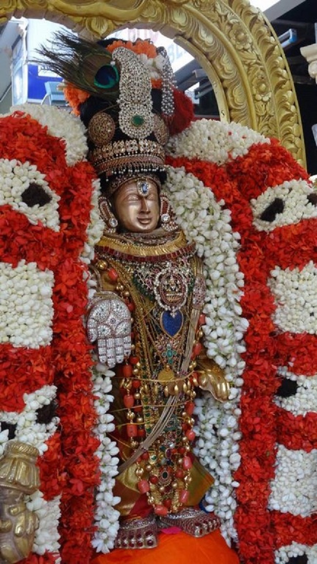 Mylapore SVDD Srinivasa Perumal Temple Chitra Pournami Utsavam27
