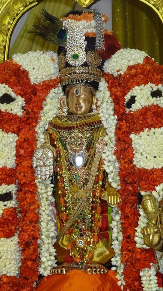 Mylapore SVDD Srinivasa Perumal Temple Chitra Pournami Utsavam4