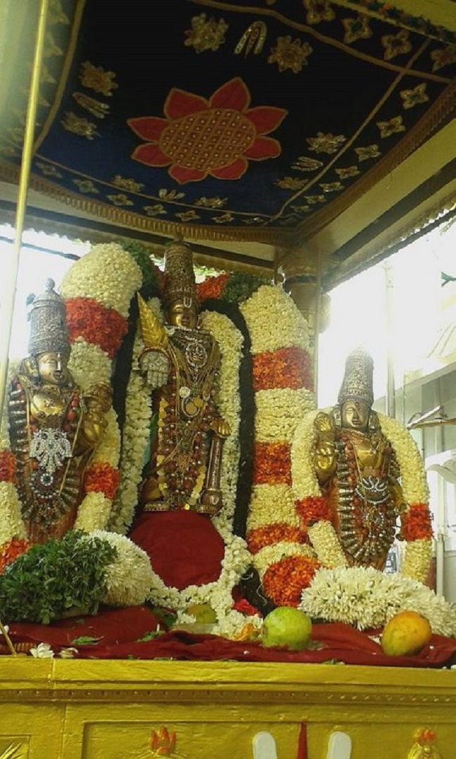 Mylapore SVDD Srinivasa Perumal Temple Manmadha Varusha Brahmotsavam Commences1