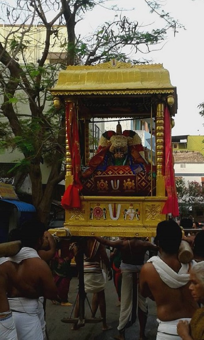 Mylapore SVDD Srinivasa Perumal Temple Manmadha Varusha Brahmotsavam Commences10