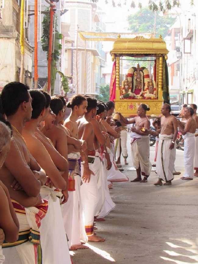 Mylapore SVDD Srinivasa Perumal Temple Manmadha Varusha Brahmotsavam Commences15