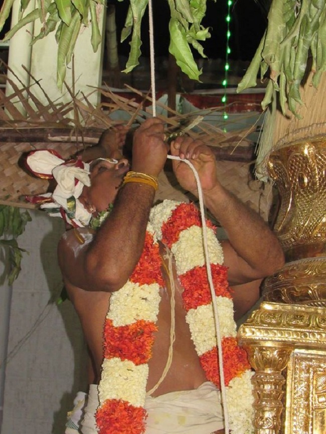 Mylapore SVDD Srinivasa Perumal Temple Manmadha Varusha Brahmotsavam Commences22