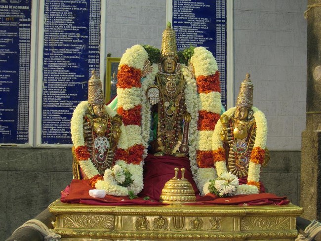 Mylapore SVDD Srinivasa Perumal Temple Manmadha Varusha Brahmotsavam Commences6