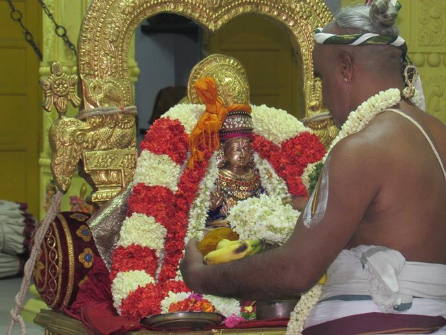Mylapore SVDD Srinivasa Perumal Temple Manmadha Varusha Brahmotsavam1