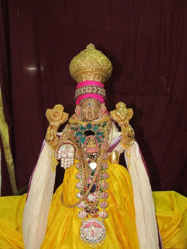 Mylapore SVDD Srinivasa Perumal Temple Manmadha Varusha Brahmotsavam15