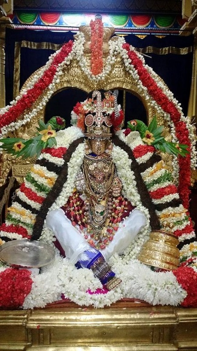 Mylapore SVDD Srinivasa Perumal Temple Sri Alamelumangai Thayar Kadai Vellikizhamai Utsavam1