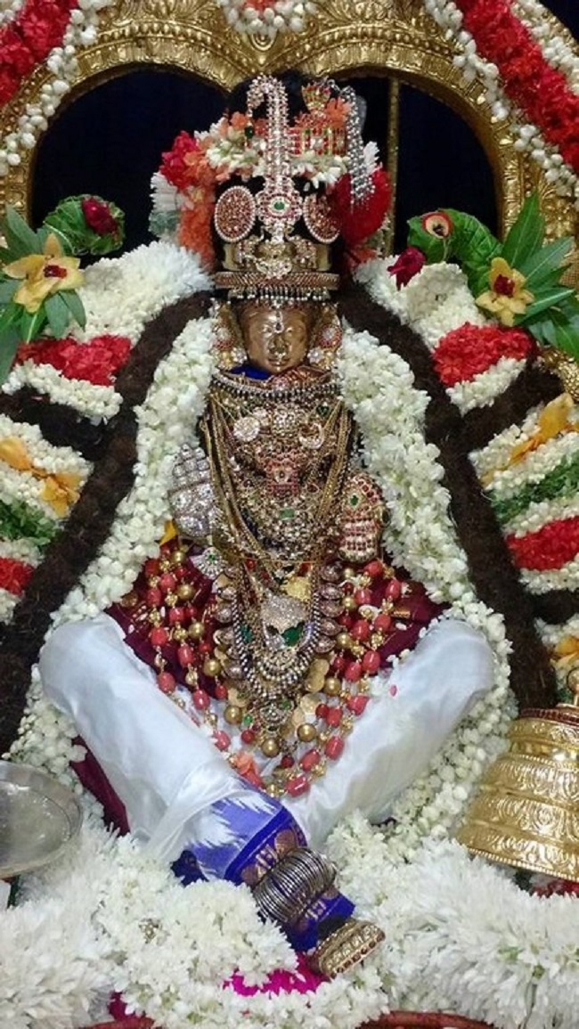 Mylapore SVDD Srinivasa Perumal Temple Sri Alamelumangai Thayar Kadai Vellikizhamai Utsavam2