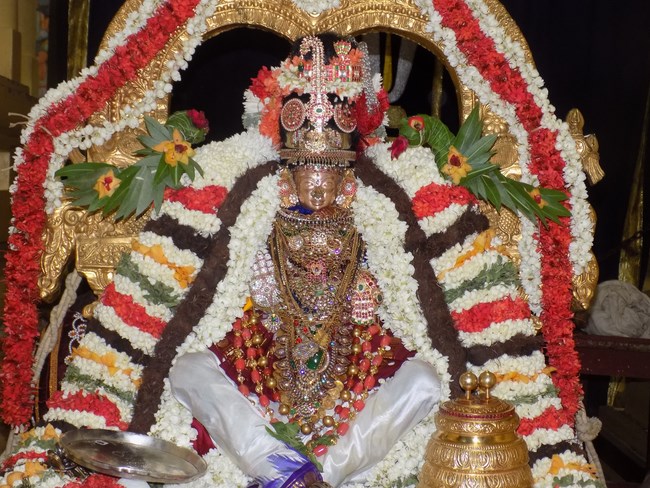 Mylapore SVDD Srinivasa Perumal Temple Sri Alamelumangai Thayar Kadai Vellikizhamai Utsavam8