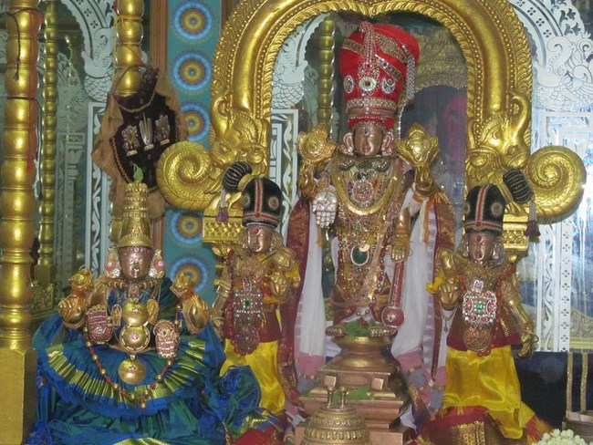 Mylapore SVDD Srinivasa Perumal Temple Vasanthotsavam Concludes16