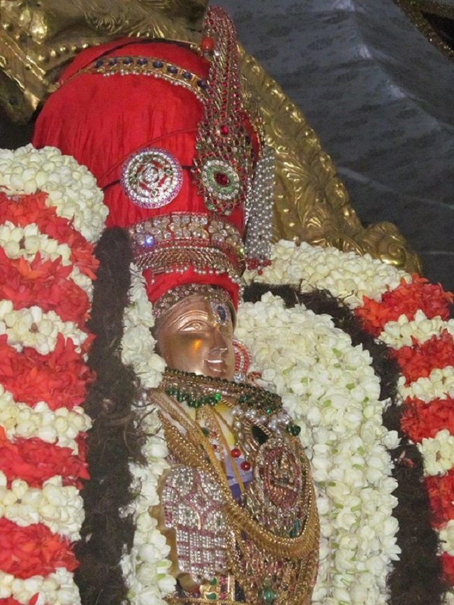 Mylapore SVDD Srinivasa Perumal Temple Vasanthotsavam Concludes19