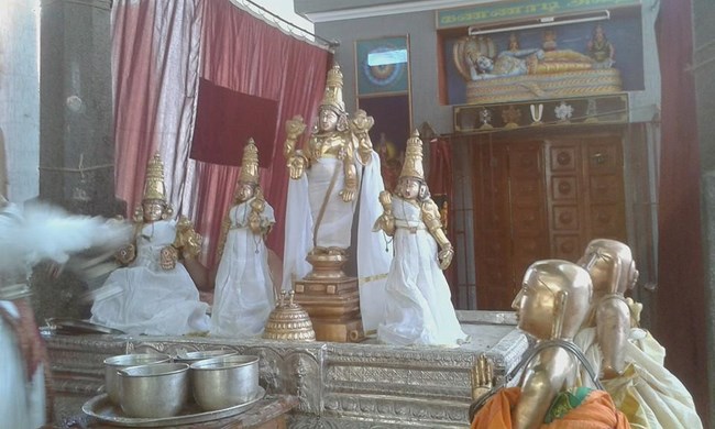 Mylapore SVDD Srinivasa Perumal Temple Vasanthotsavam18