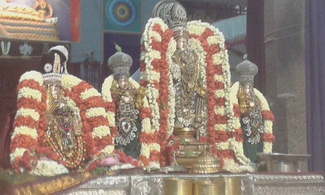 Mylapore SVDD Srinivasa Perumal Temple Vasanthotsavam19
