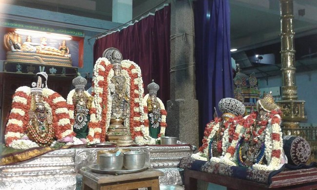 Mylapore SVDD Srinivasa Perumal Temple Vasanthotsavam2