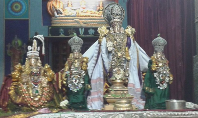Mylapore SVDD Srinivasa Perumal Temple Vasanthotsavam21